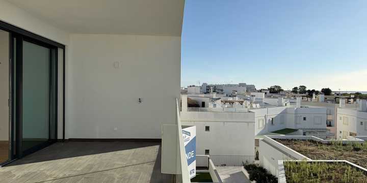03IMG_2384.jpg